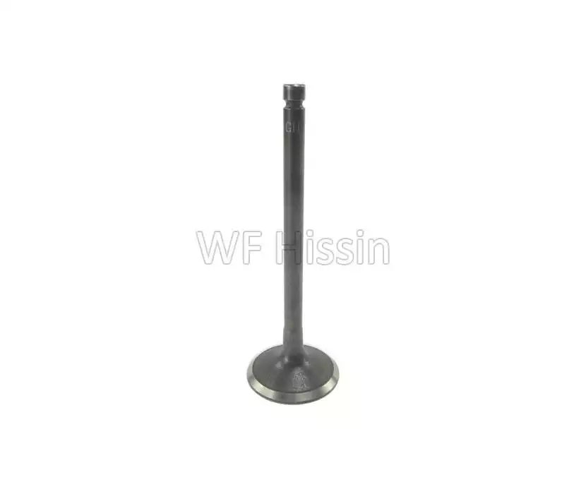 Intake valve QC495T